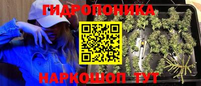 ALPHA PVP Новозыбков
