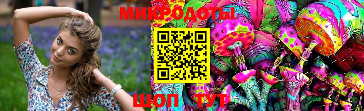 Псилоцибиновые грибы мицелий Саяногорск