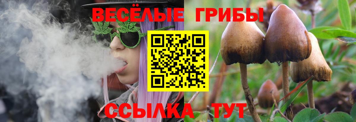 Саяногорск  Галлюциногенные грибы прущие грибы  где найти   Вход с VPN 